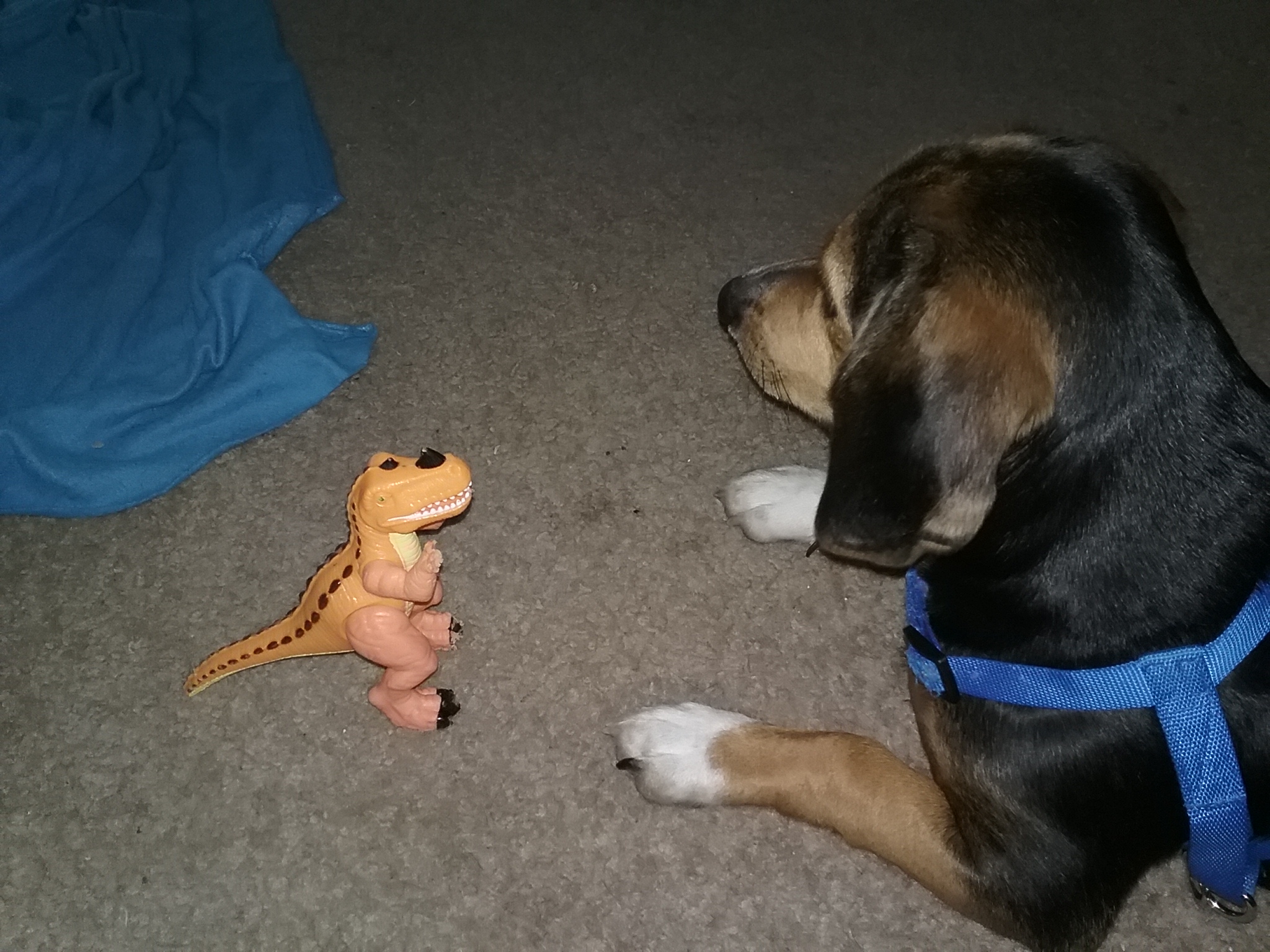 Winston Chillin with T Rex - just before T Rex lost with tail